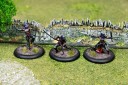 Legions Shinobi Assassins