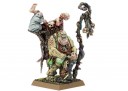 Warhammer Fantasy - Dr Festus