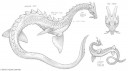 GN_Seeschlange Monster
