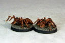 Otherworld Giant Ants