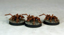 Otherworld Giant Ants Workers