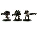 MECHANICUM THALLAX COHORT 1