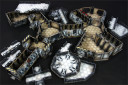 Spartan Scenics 1