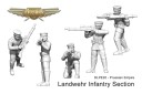 DL Prussian Empire Landwehr Infantry Section