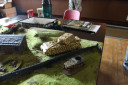 Warlord Games Day 2013