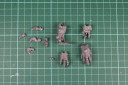 WHFB_CarnoBld03