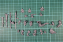 WHFB_CarnoBld16