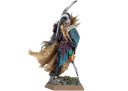 Warhammer Fantasy Flottenmeister der Schwarzen Arche