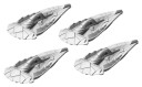 Aquan Chimaera Class Frigates