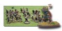 Saga 6 point Starter Anglo-Danes