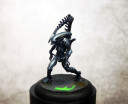 Alien vs Predator Bemalte Modelle 1