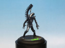 Alien vs Predator Bemalte Modelle 2