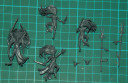 GW Review Blutkessel 15