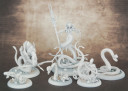 Medusa Schlangen