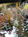 DSC_0052Jahresrückblick_Burkhard_7