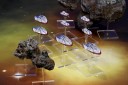 Firestorm Armada The Directorate Frigate & Drone Group