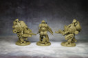 Dust - Steel Guards Assault Squad