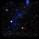 Fischkrieg - Sternmatte MF Stars