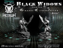 28mm Black Widows Grand Commander Katja 2