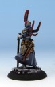 Painted Nasier, Plastic Shael Han 6