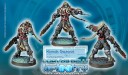 INF_CA_Kornak Gazarot
