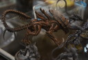 SPIEL 2014 Prodos Warzone AvP 4
