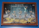 Review Wood Elves Sisters of the Thorn 1