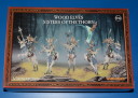 Review Wood Elves Sisters of the Thorn 1