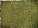 wargames_terrain_mat_plains_1