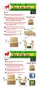 Watchful I Studio_Ancient China Kickstarter 10