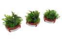 Systeme Gaming_Futura City Circular Planters 1