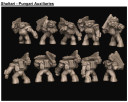 Hawk_Dropzone_Shaltari_Pungari