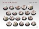 TA_AncestralRuins30mm
