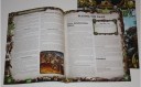 Privateer Press_Iron Kingdoms Unleashed Adventure Kit Review 6