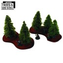 4Ground_5x Young Firs