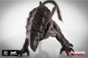 avp-alien-crusher1