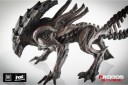 avp-alien-crusher2