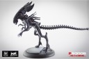 avp-alien-queen