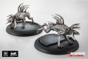 avp-predator-hellhounds-