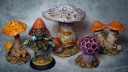 Anti_Matter_Pilze_2