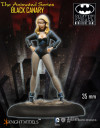 KM_Knight_Models_Batman_Black_Canary