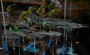 RPC_2016_VME_Dropfleet_4