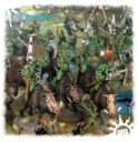 Games Workshop_Warhammer Age of Sigmar Savage Boarboys 5