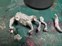 Infinity_doggy_parts_close