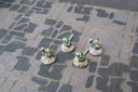 TMA_Pocket_Quest_13