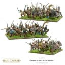 WG_Warlord_Hail_Caesar_Conquest_of_Gaul_4
