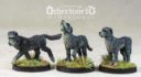 Otherworld_Miniatures_September_Releases_03