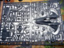 GW_DeathMasque_Harlequins15