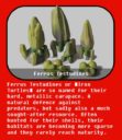 KG_Krakon_Games_Sci_Fi_Frills_and_Fauna_Miniatures_Kickstarter_10