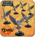 FFP_Flying_Frog_Productions_Forbidden_Fortress_Kickstarter_Launch_4